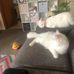 Robyn Potts - Facebook