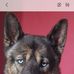 Robyn Prater - Facebook