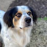 Robin proctor - @buddy_pickle - Instagram