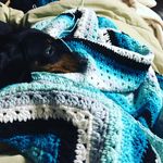 Robyn Prosser - @doyourworsted - Instagram