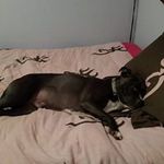 Robin Pryor - @pryorrobin - Instagram