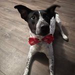 Robyn Quinn - @angiebynq - Instagram