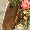 Robin Rankin  - @robin_527 - TikTok