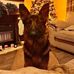 Robyn Reid - Facebook