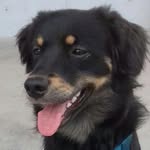 Robin Richter - @robinrichter406 - Instagram