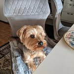 Robin Richter - @robinrichter68 - Instagram