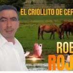 Robin Rojas - @robin_j_rojas - Instagram