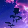 Ro by n❤🌷 - @robynroux - TikTok