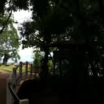 Robin roux jr style - @robinrouxjr - Instagram