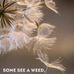 Robyn Salisbury - Facebook