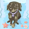 Robyn sargent - @robyn.sargent1 - TikTok