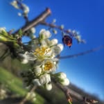 🌻📸🐜 - @robynsen.ennerrcay707 - Instagram