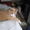 Robyn Shannon - @robyn.shannon8 - TikTok