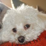 Robyn Sims - @robyn19571953 - Instagram