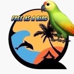 FREE AS A BIRD - @robyn_snow - Instagram