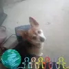 Robin Snow - @robin.snow7 - TikTok