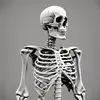 Robyn Snow - @robyn.snow6 - TikTok