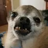 Robyn Stapleton - @stapleton5314 - TikTok