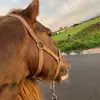 Robyn - @robynstone11 - TikTok