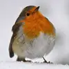 Robyn Stone - @robyn.stone72 - TikTok