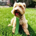 Robyn Stone Rogers - @mackenziethemini - Instagram