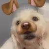 Robynstone3 - @robynstone3 - TikTok