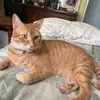 Robyn swift - @robyn.swift72 - TikTok