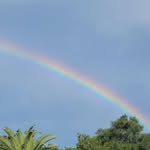 Robin Tompkins Parido - @robinkp2000 - Instagram