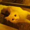 RobynTownsend - @p2iv9538gl4 - TikTok