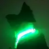 fc do miau 🐸 - @robintrist - TikTok
