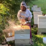 Robyn Underwood - @robynlovesbees - Instagram