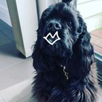 Robyn Underwood - @babypockie - Instagram