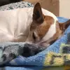 Robyn.Vazquez - @robynvazquezevogfsn - TikTok