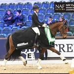 Robyn Walker - @robynwalkerdressage - Instagram