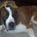 Robyn Walker - Facebook