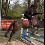Robyn walker - @robyn_eq_ - Instagram