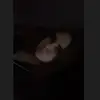 robyn.walkerr - @robyn.walkerr - TikTok