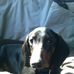 Robyn Walls - Facebook