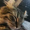 Robyn Watkins - @robyn.watkins - TikTok