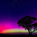 Robyn Webb - Facebook