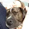 robynwebb42 - @robynwebb42 - TikTok
