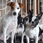 Robyn Weeks - Facebook