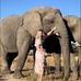 Robyn Wolfe - Facebook