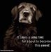Robyn Woods - Facebook