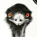 Robyn Workman - @nature.scratchings - Instagram