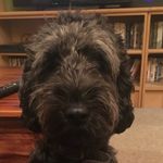 Robyn Wyatt - @robyn.wyatt.923 - Instagram