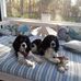 Robyn Gautreaux York - Facebook