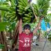 Robin Antonio - Facebook
