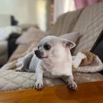 Rocco Alias Siffredi - @rocco_alias_sifredi - Instagram