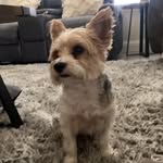 Rocco & Max Baker - @roccoandmaxbaker - Instagram